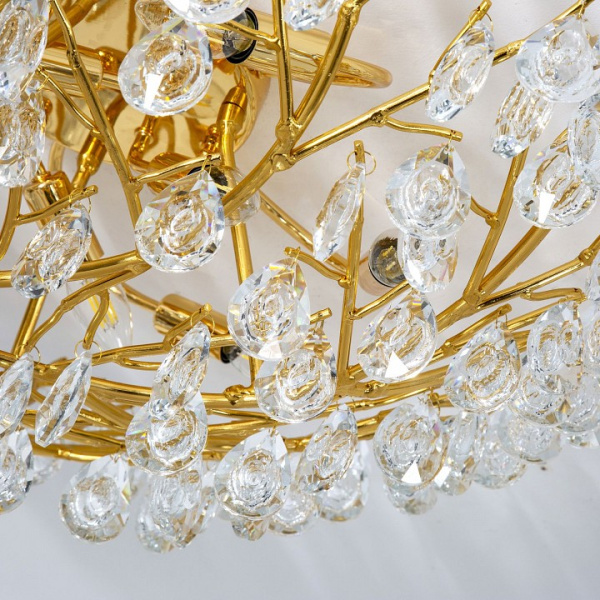 Фото Потолочная люстра Favourite Pluvia 4162-10C