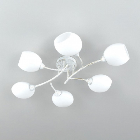 Фото Потолочная люстра Citilux Флорида CL148160