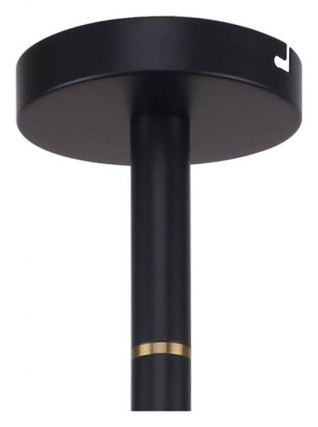 Фото Люстра на штанге Favourite Eternity 2766-12P