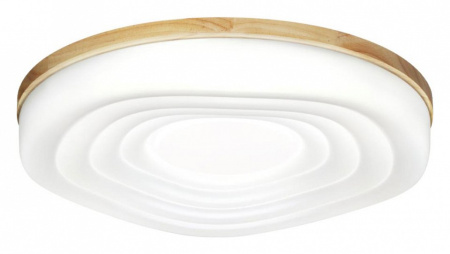 Фото Накладной светильник Sonex Fass Wood 7674/DL