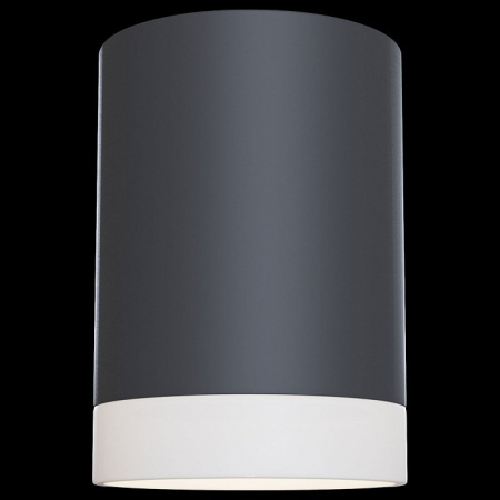 Фото Накладной светильник Maytoni Pauline C008CW-01B