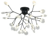 Потолочная люстра Kink Light Ветта 07521-27,19(21) Потолочная люстра Kink Light Ветта 07521-27,19(21)