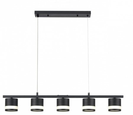 Фото Подвесной светильник Lumion Lanika 8240/5