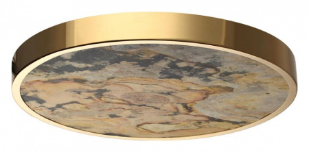 Фото Накладной светильник Odeon Light Bergi 5079/40L