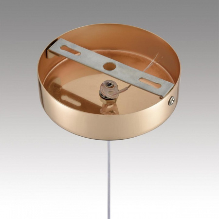 Фото Подвесной светильник Lumion Rimini 8083/1A