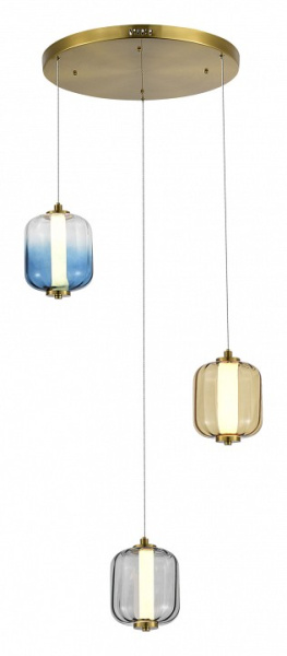 Фото Подвесной светильник ST-Luce Summer SL1193.303.03