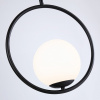 Открыть Подвесной светильник Ambrella Light TR TR2592 Фото Подвесной светильник Ambrella Light TR TR2592