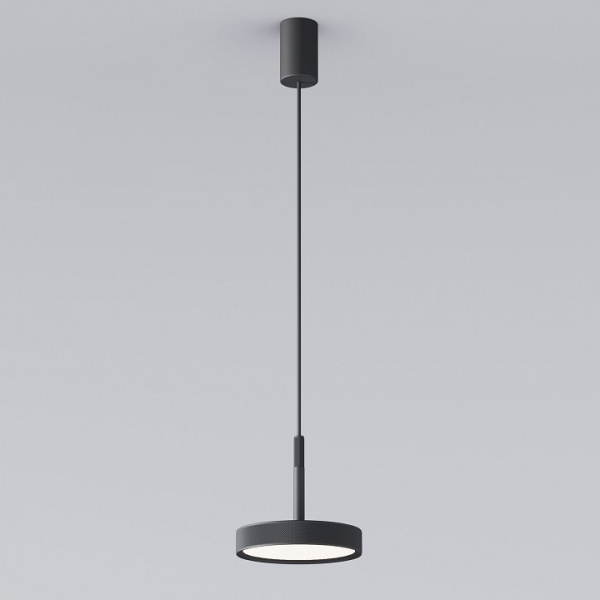 Фото Подвесной светильник Elektrostandard Plate a065411