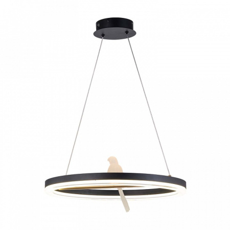 Фото Подвесной светильник F-promo Bardy 4654-1P