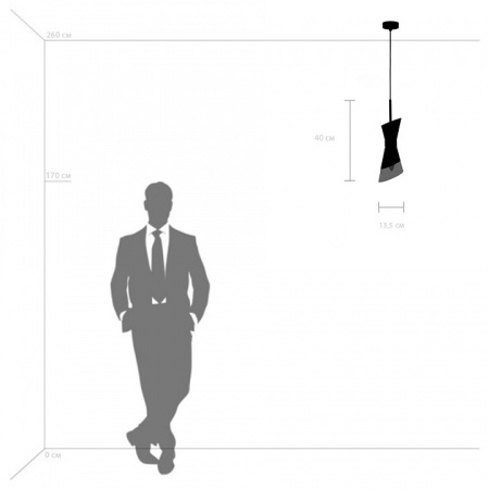 Фото Подвесной светильник Lightstar Strato 817014