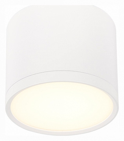 Фото Накладной светильник ST-Luce Rene ST113.532.09