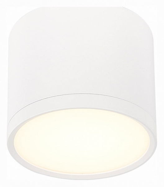 Фото Накладной светильник ST-Luce Rene ST113.532.09