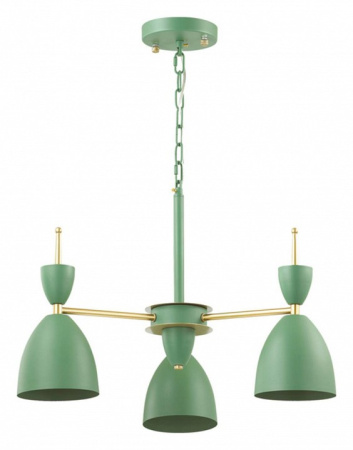 Фото Подвесная люстра Lumion Gemma 3785/3