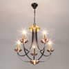 Открыть Подвесная люстра Eurosvet Lazzaro 60098/5 черный Фото Подвесная люстра Eurosvet Lazzaro 60098/5 черный