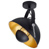 Спот Lussole Sherrelwood GRLSP-9825 Спот Lussole Sherrelwood GRLSP-9825