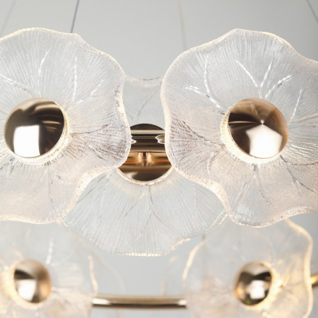 Фото Подвесная люстра Rivoli Shannon Б0061947