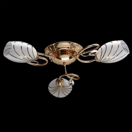 Фото Потолочная люстра MW-Light Фиеста 10 267012803