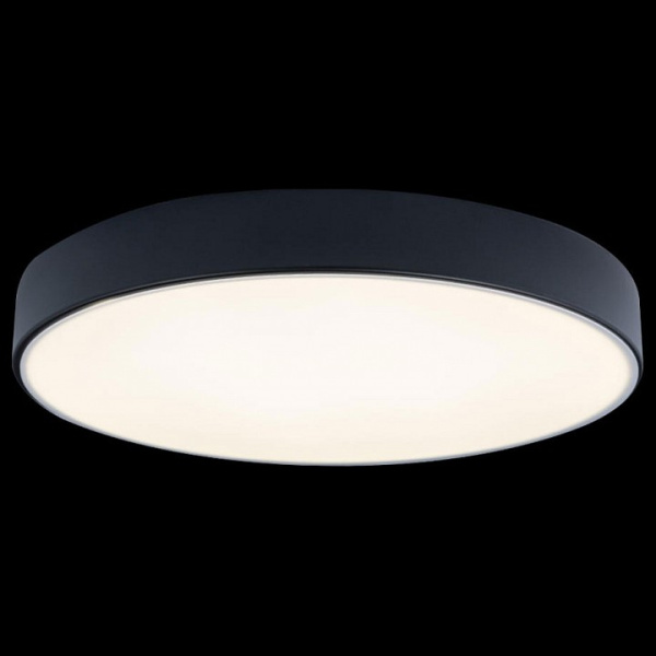 Фото Накладной светильник Loft it Axel 1 10002/24 Black