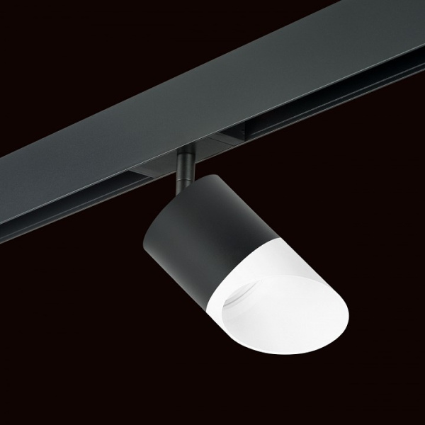 Фото Светильник на штанге Lightstar Rullo PRO348786