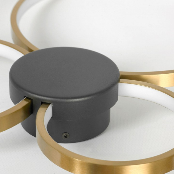 Фото Потолочная люстра Lussole Lowell LSP-7112