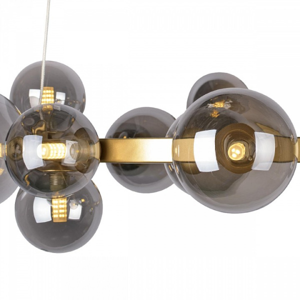 Фото Подвесная люстра Loft it Molecule 10139/850