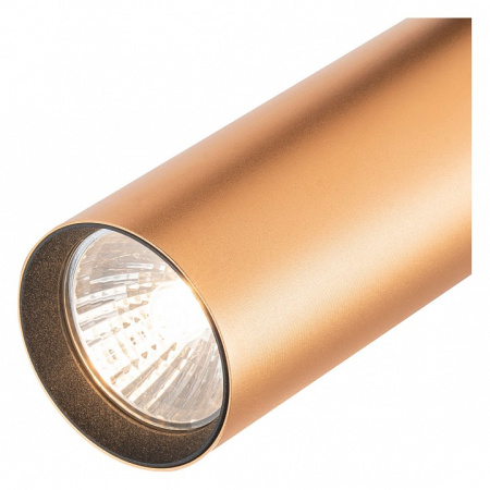 Фото Светильник на штанге Escada 20001 20001TRA/02 BR