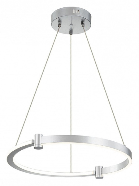 Открыть Подвесной светильник Indigo Circolato 14015/1P Silver Фото Подвесной светильник Indigo Circolato 14015/1P Silver