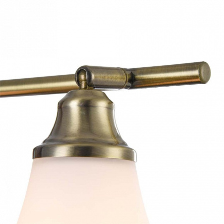 Фото Спот Freya Jasinta FR2272-CW-03-BS