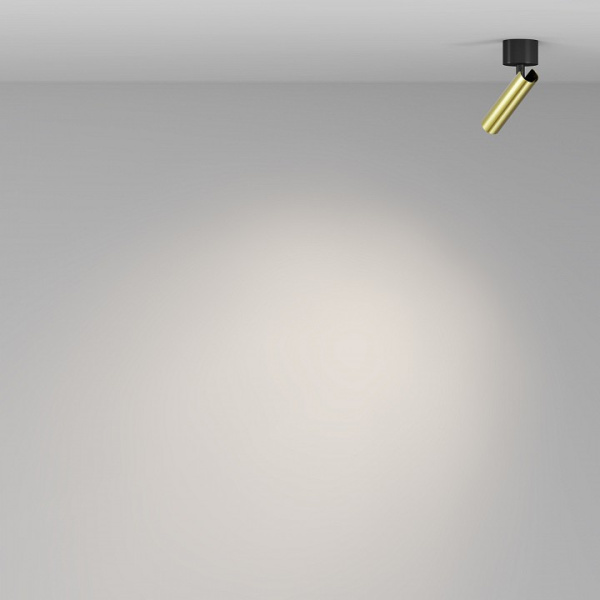 Фото Светильник на штанге Maytoni Focus T C141CL-L125-6W4K-BBS