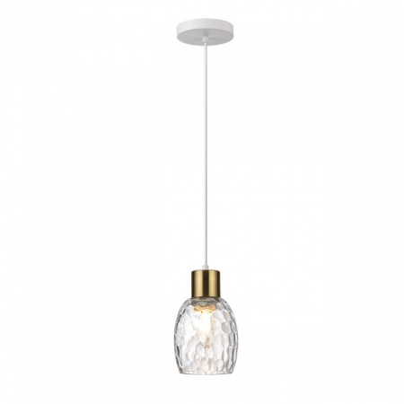 Фото Подвесной светильник Lumion Ice 6583/1A