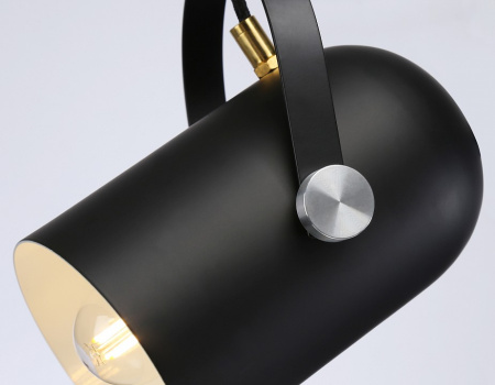 Фото Подвесной светильник Ambrella Light TR TR8206