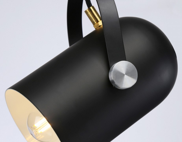 Фото Подвесной светильник Ambrella Light TR TR8206