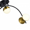 Открыть Потолочная люстра EVOLUCE Aarnio SLE6500-402-04 Фото Потолочная люстра EVOLUCE Aarnio SLE6500-402-04