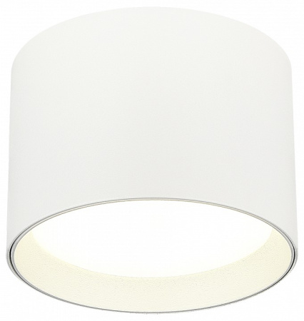 Фото Накладной светильник ST-Luce ST163 ST163.502.01