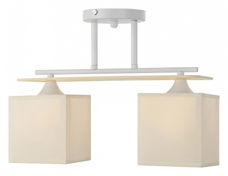 Фото Светильник на штанге Escada Ares 1117/2PL