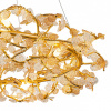 Открыть Подвесная люстра Indigo Splendore 11042/12P Gold Фото Подвесная люстра Indigo Splendore 11042/12P Gold