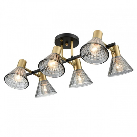 Фото Люстра на штанге Lumion Anriya 8044/6C