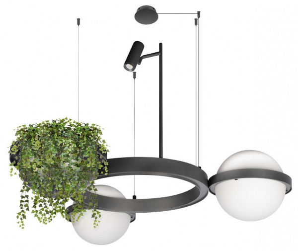 Фото Подвесная люстра Loft it Jardin 10121/2 Dark grey