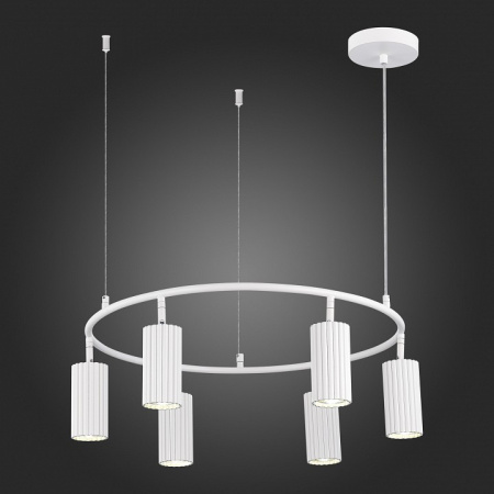 Фото Подвесная люстра ST-Luce Kendo SL1213.503.06