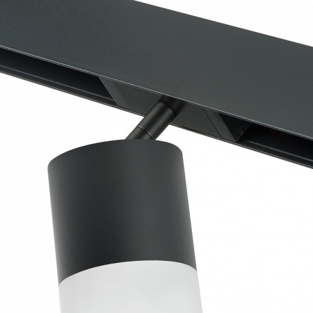 Фото Светильник на штанге Lightstar Rullo PRO348781