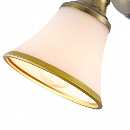 Открыть Спот Freya Jasinta FR2272-WL-01-BS Фото Спот Freya Jasinta FR2272-WL-01-BS