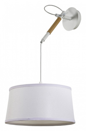 Фото Светильник на штанге F-promo Eureka 3005-1P