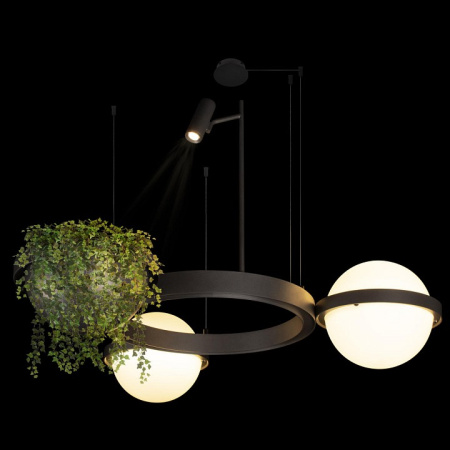 Открыть Подвесная люстра Loft it Jardin 10121/2 Dark grey Фото Подвесная люстра Loft it Jardin 10121/2 Dark grey