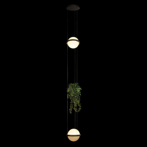Открыть Подвесной светильник Loft it Jardin 10121/2P Dark grey Фото Подвесной светильник Loft it Jardin 10121/2P Dark grey