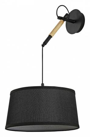 Фото Светильник на штанге F-promo Eureka 3006-1P