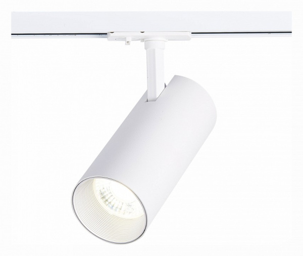 Фото Светильник на штанге ST-Luce Mono ST350.546.30.36