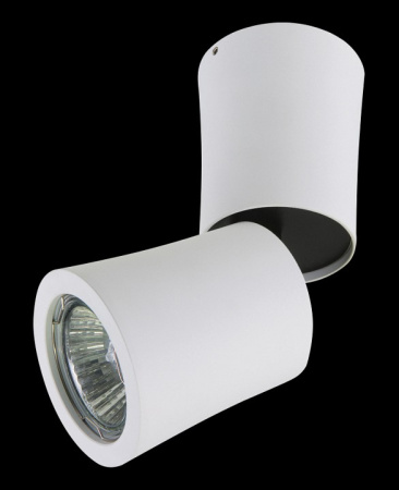 Фото Накладной светильник Lightstar Rotonda 214456