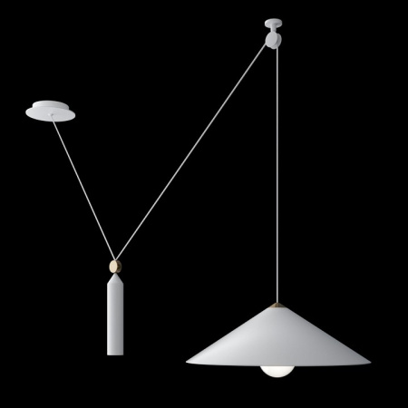 Фото Подвесной светильник Maytoni Peso P080PL-01W