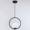 Открыть Подвесной светильник Ambrella Light TR TR2592 Фото Подвесной светильник Ambrella Light TR TR2592