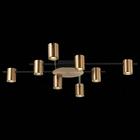 Фото Потолочная люстра ST-Luce Veroli SL1207.402.08